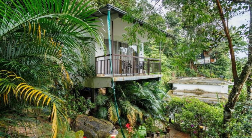 Wild Stories Resort Munnar - image 12