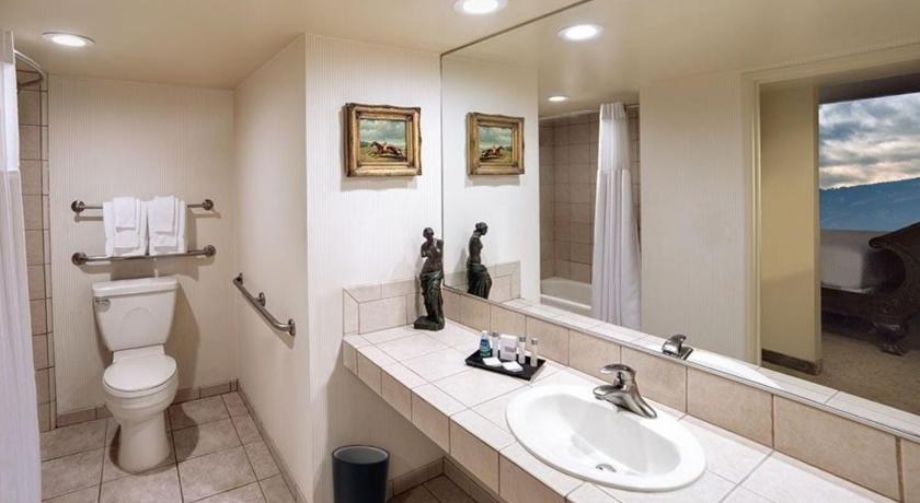 Image of Studio Suite King Non-Smoking 2