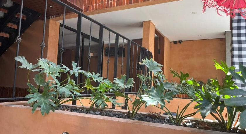 Hakon Canggu Boutique Hostel - image 6