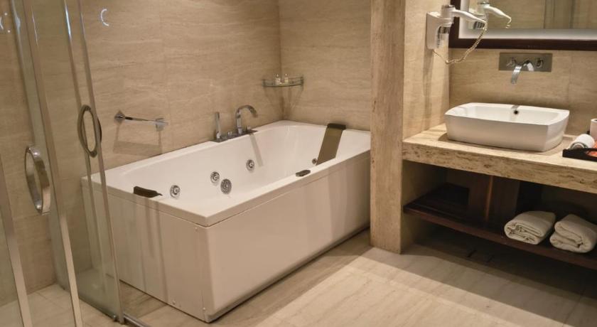 Hotel Viceroy Inn - image 25
