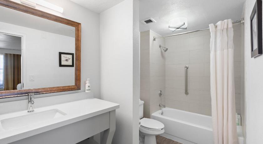 Image of Suite 1 King Bed 2
