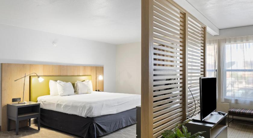 Image of Suite 1 King Bed 4