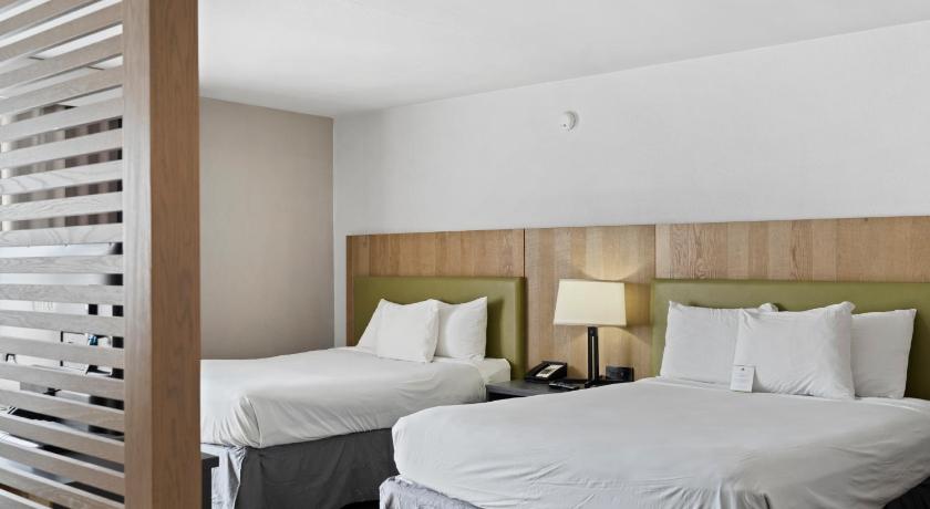 Image of Suite 2 Queen Beds 5