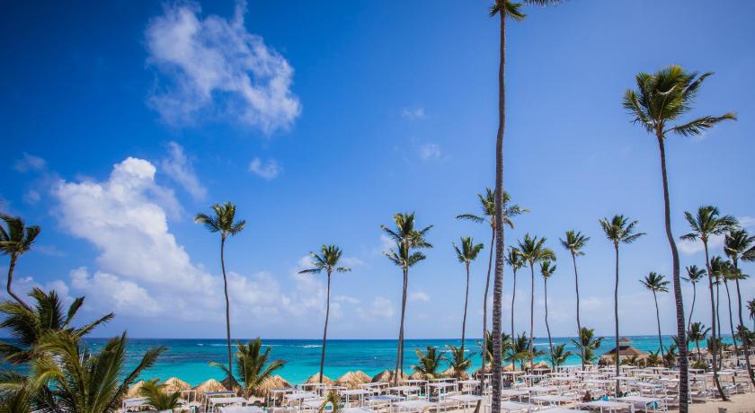 a beach filled with palm trees and palm trees, Majestic Mirage Punta Cana - All Suites - All Inclusive in Punta Cana