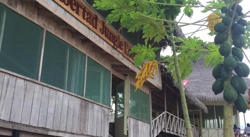 Libertad Jungle Lodge photo