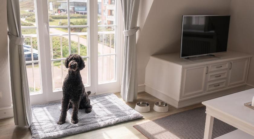 Image of Family Suite 6
