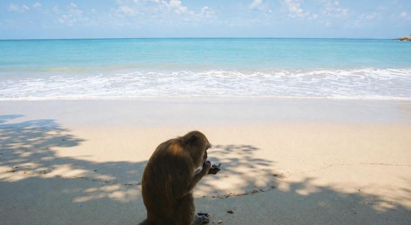 Lanta Mermaid Boutique House Hotel - image 46