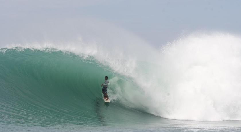 Tampilan Marlynto Surf Camp