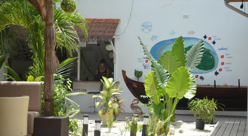 a man sitting in front of a table with a bunch of plants, Dive Villa Thoddoo Guest House  in Maldive Islands