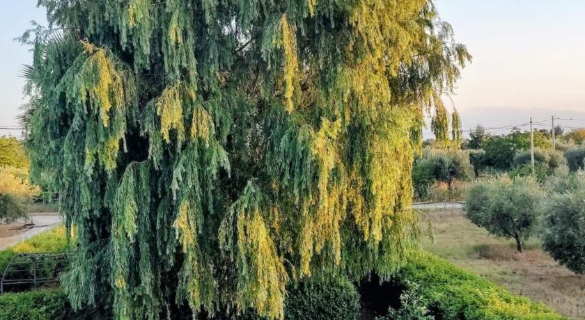 Il Salice