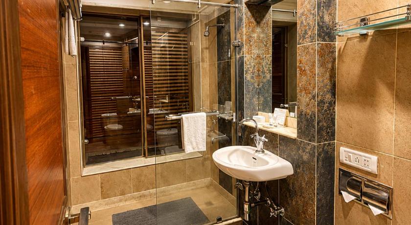 Hotel Vikram Vintage Inn - image 43
