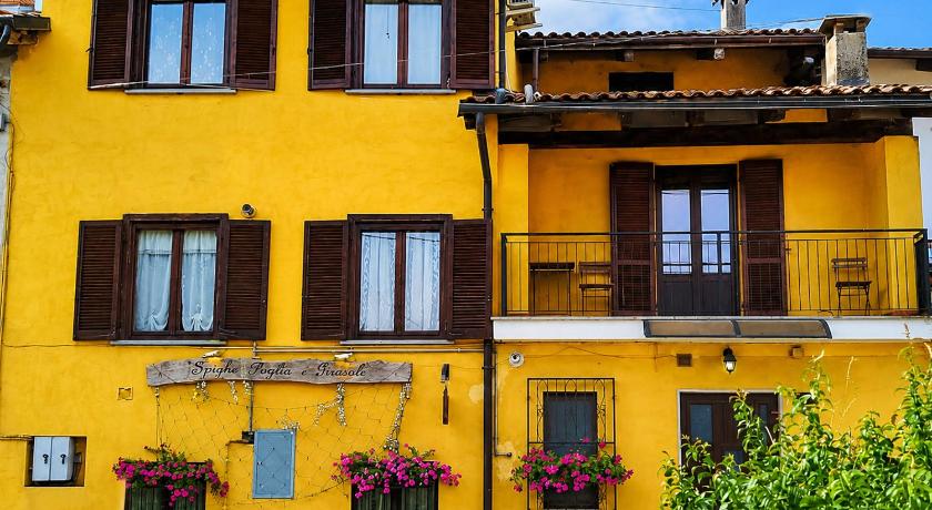 Spighe Paglia e Girasole