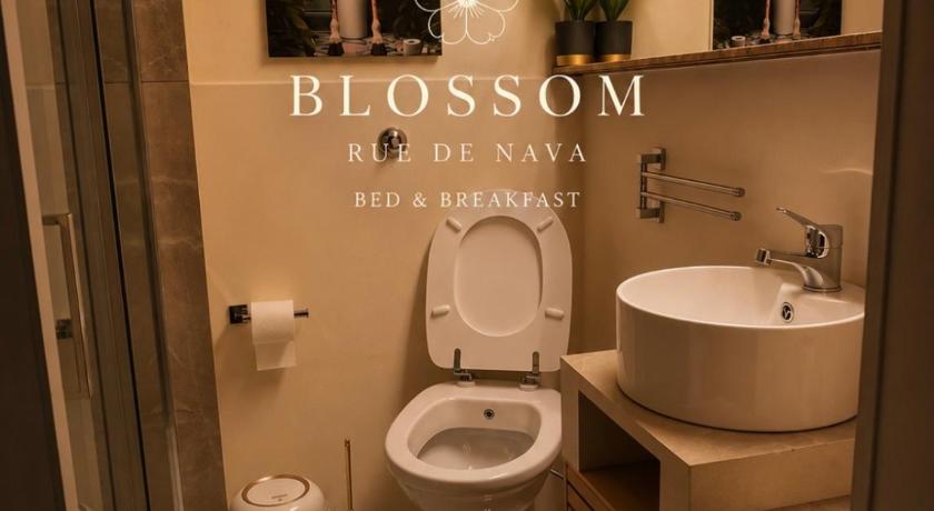 Blossom Rue de Nava - image 35