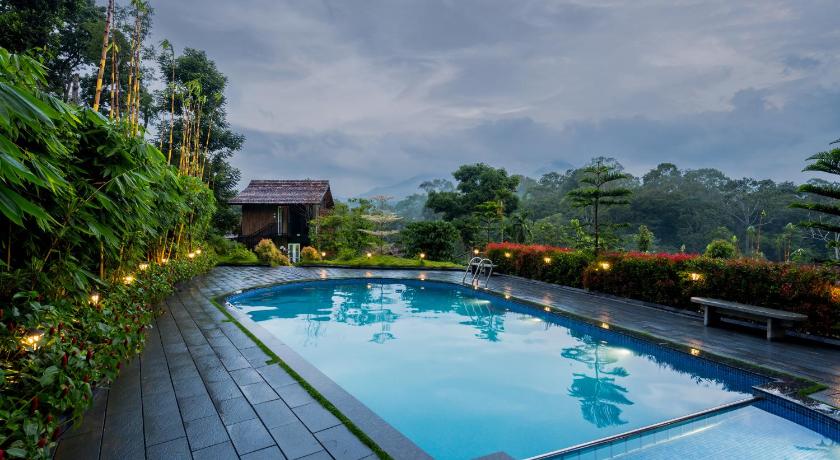 Wood Panda Luxury Resort Wayanad - image 9