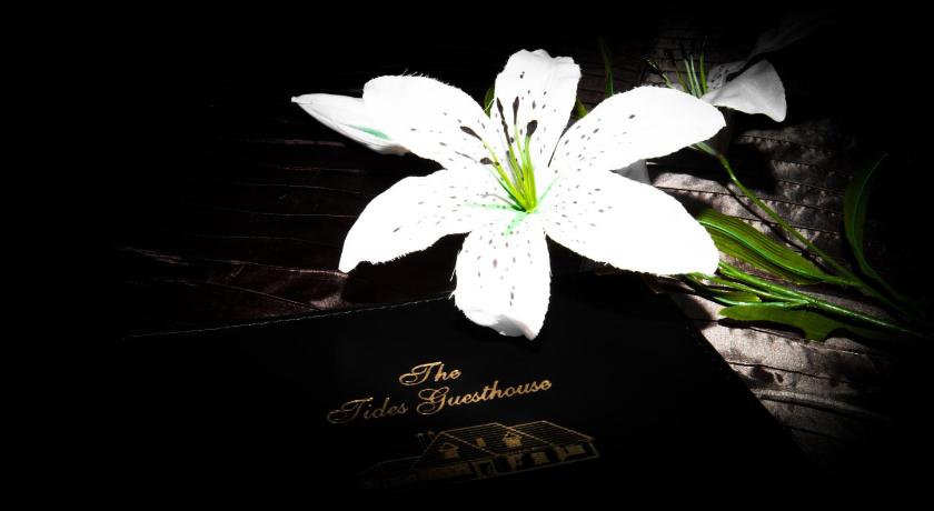 The Tides B&B photo