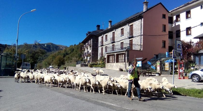 a herd of sheep walking down a street, Albergue El Ultimo Bucardo in Linas De Broto
