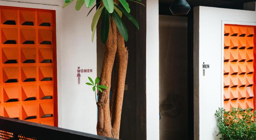 White Rabbit Hostel - image 13