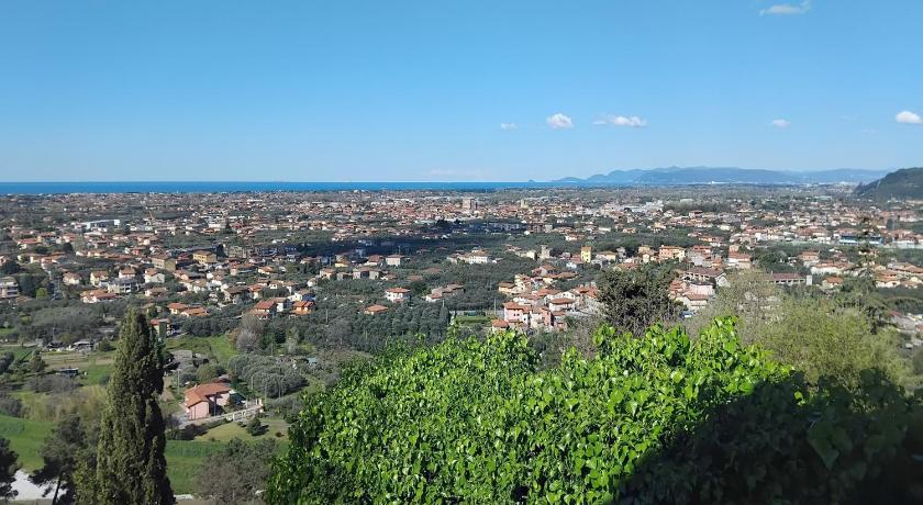 Belvedere 10
