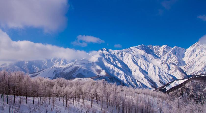 VILLA Schole Hakuba - image 33