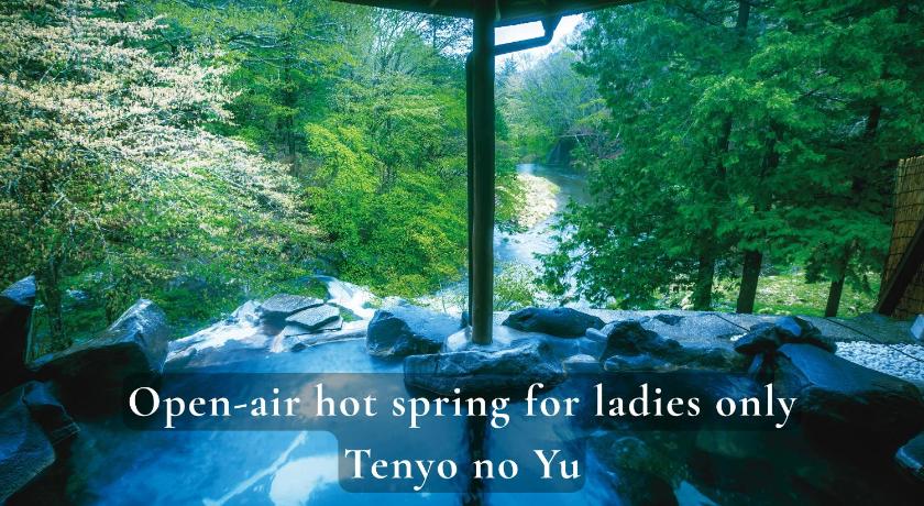 Tateshina Shinyu Onsen - image 45