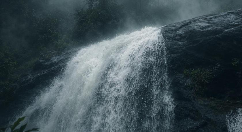 Grand Munnar Rooms - image 27