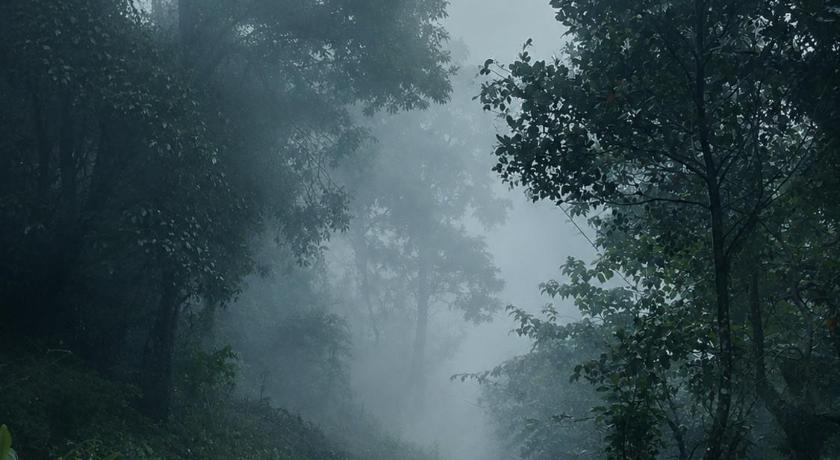 Grand Munnar Rooms - image 28