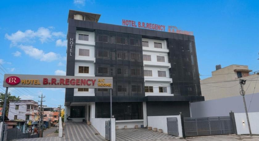 Hotel B R REGENCY - image 2