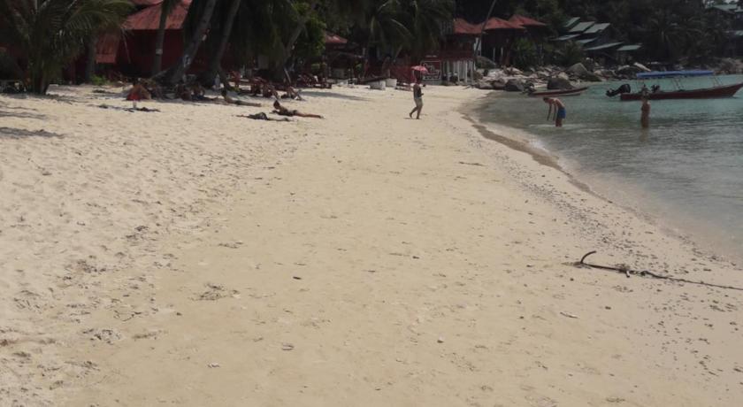 Senja Bay Resort photo