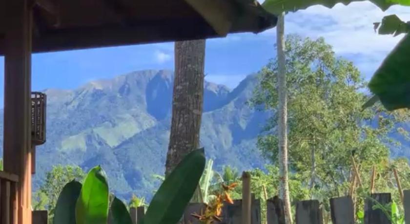 Tampilan Dopi Rinjani Homestay