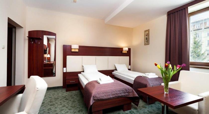 Hotel Mlyn photo