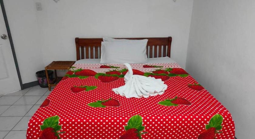 Istroberi Inn Palawan near Airport - image 31