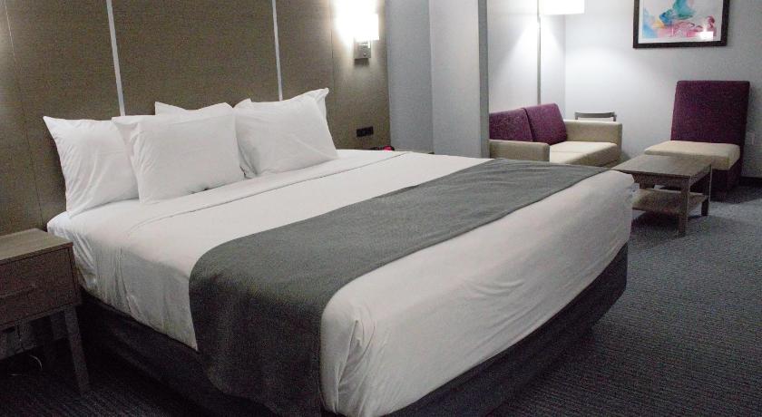Image of 1 King Bed, Mobility Accessible Room, Bathtub w /Grab Bars, Non-Smoking 5