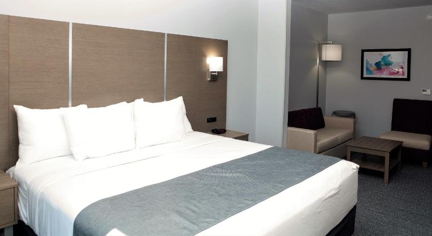 Image of 1 King Bed, Mobility Accessible Room, Bathtub w /Grab Bars, Non-Smoking 4