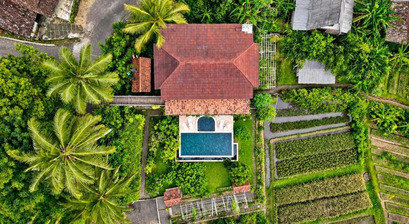 Tampilan Pondok Is Oke bambo infinity pool