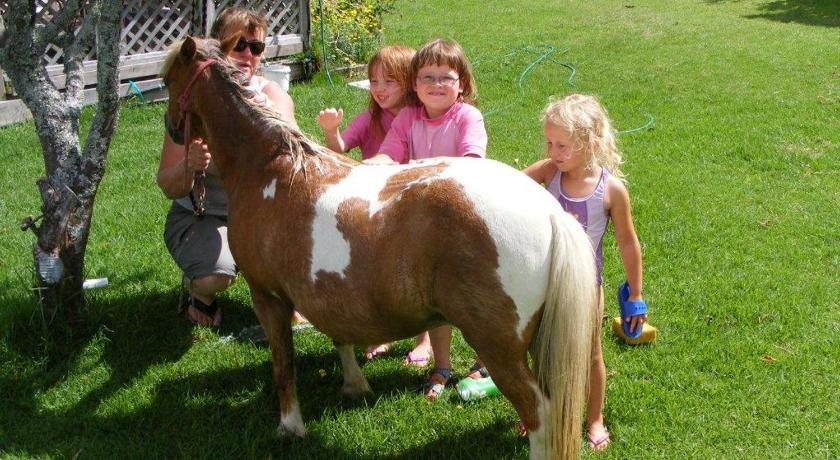Pukenui Holiday Park photo