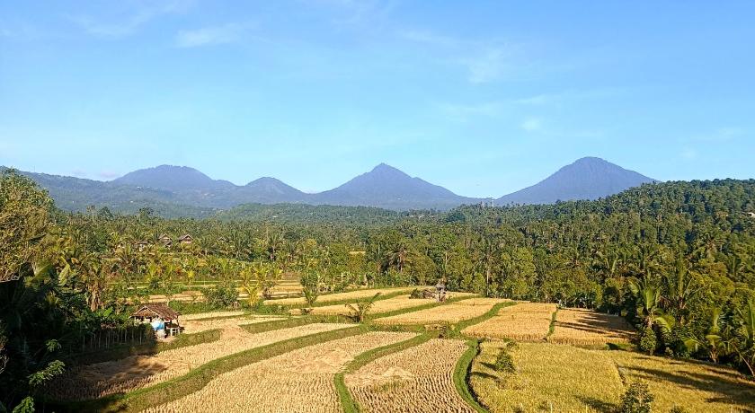 Tampilan Bali Harmoni Munduk