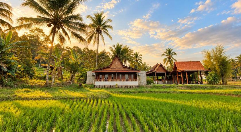 Tampilan Omah Osing Ijen Banyuwangi