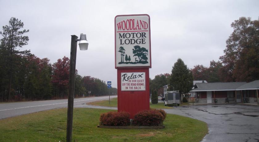 Woodland Motor Lodge — Hotel in Grayling (MI)