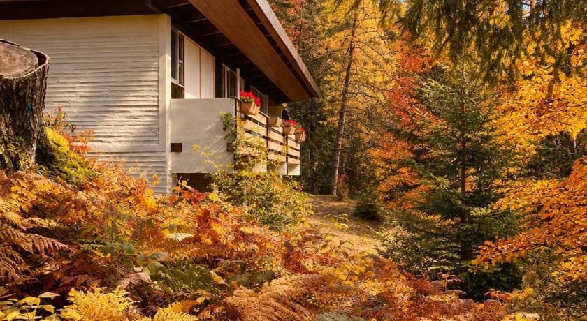 Ca'Mugo, a chalet in the magic woods, near Cortina