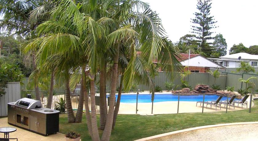 Koala Tree Motel photo