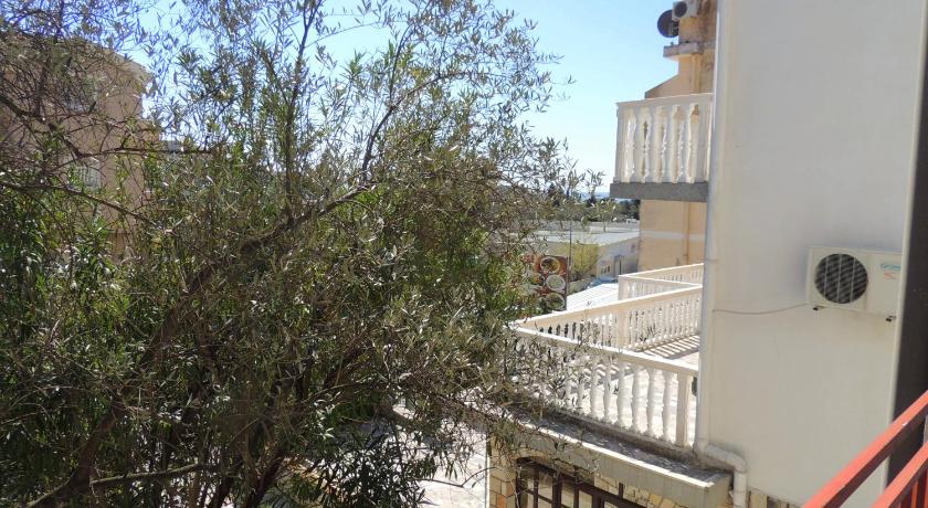 Guest House Jelena photo