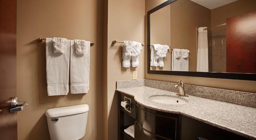 Best Western Abbeville Inn and Suites