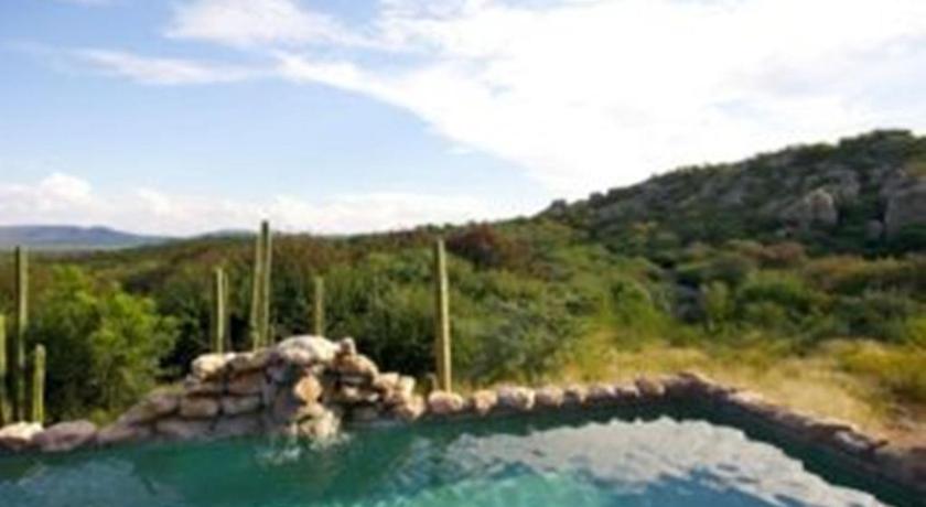 Sasa Safari Camp & Tours photo