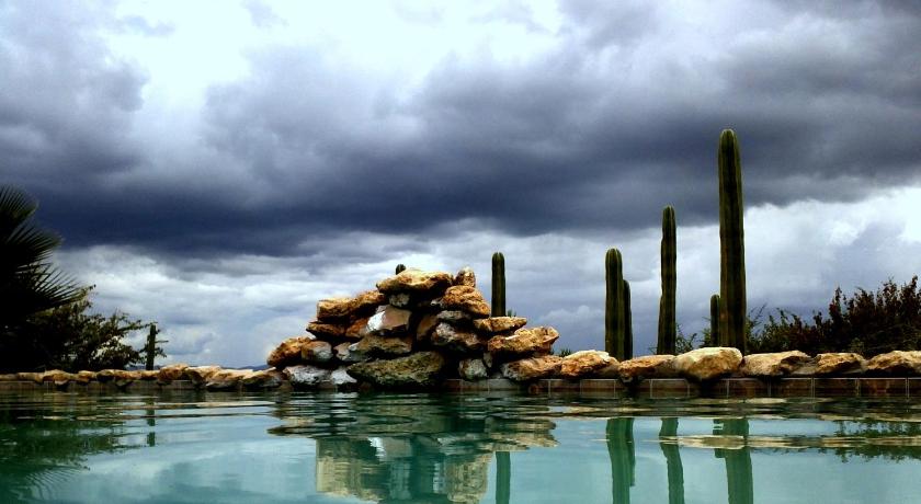 Sasa Safari Camp & Tours photo