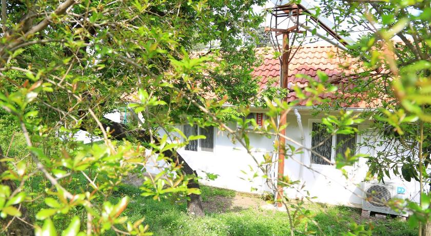 Çıralı Villa Zeytin