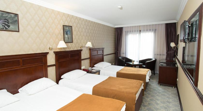 Topkapi Inter Istanbul Hotel - image 10