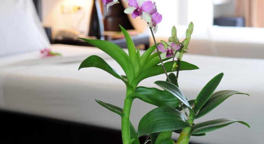 รูปของซูพีเรีย เตียงแฝด พร้อมระเบียง (Superior Twin Room Balcony) 3