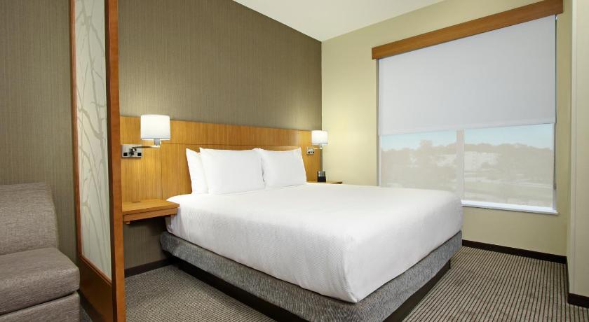 Image of King Bed (with Sofa Bed) 1