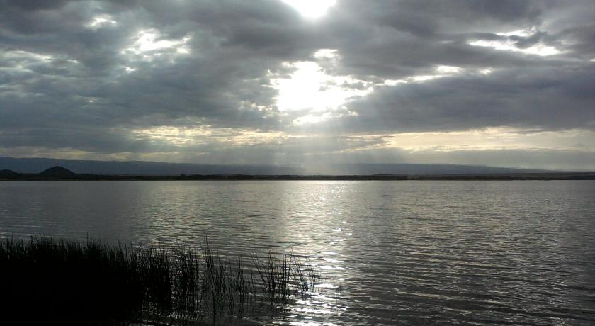 Cactus Eco Camp and Lodge — Hotel in Lake Elementaita