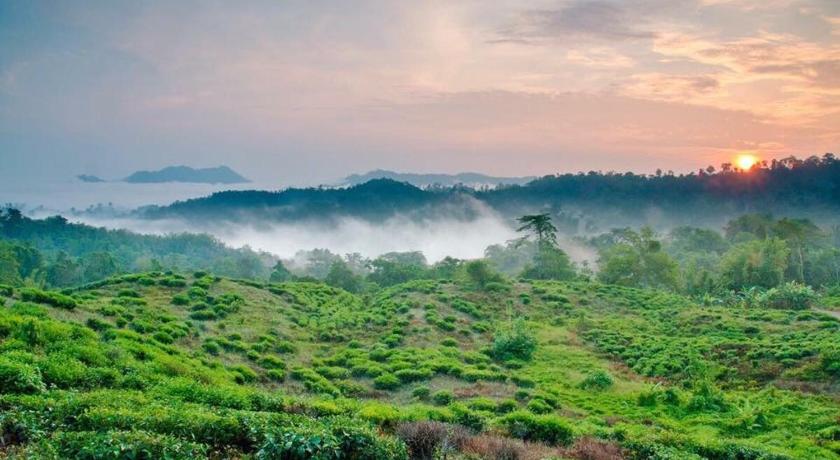 キナバル国立公園 Ranau Backpackers Hostel. 2つ星 ホテル 施設